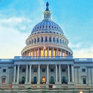 Government Sector Services